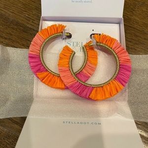 Stella & Dot Ombre Raffia Earrings